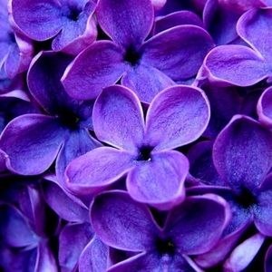 Meet your Posher, Maureen